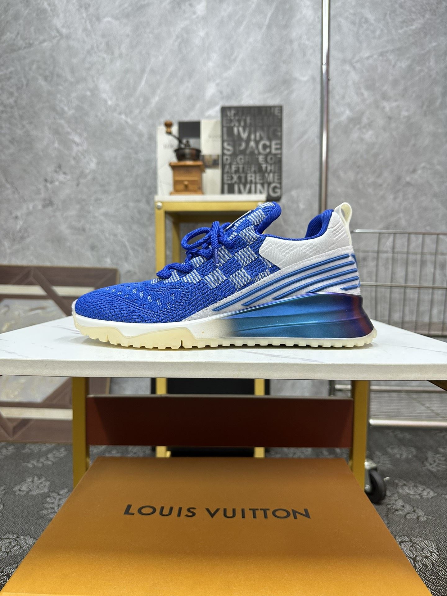 Louis Vuitton Low Shoes